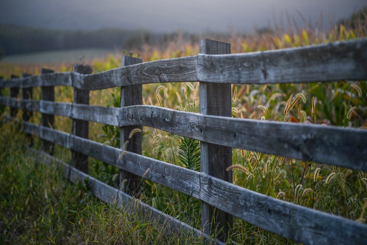 Completed wood fence along a grassy yard